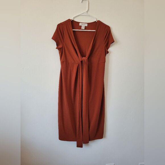 Liz Lange Maternity Dress Burnt Orange Wrap Jersey Midi Comfy Pregnancy Small - Picture 5 of 8